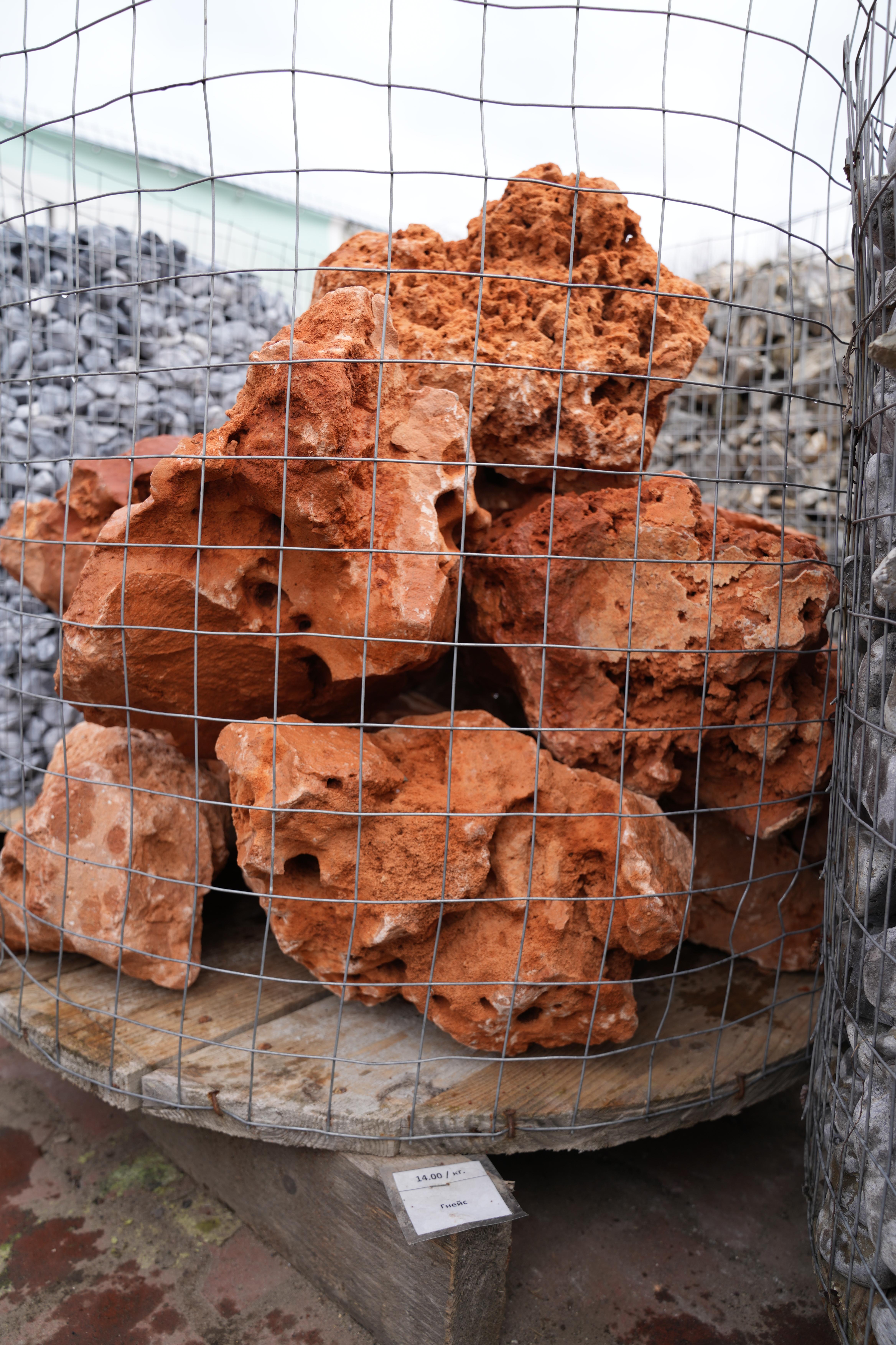 Корал Грецький 