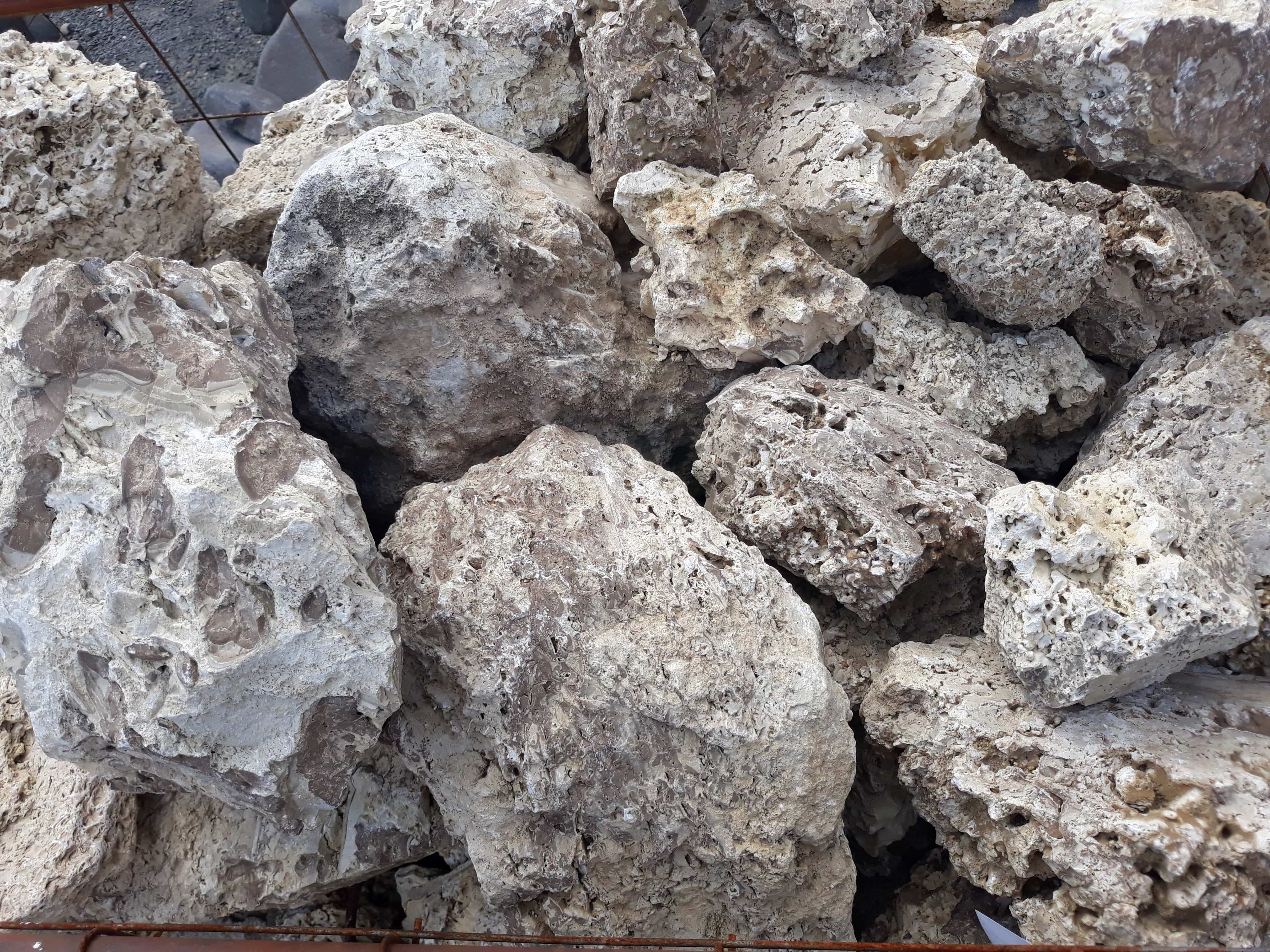 Камень Риф Товтры