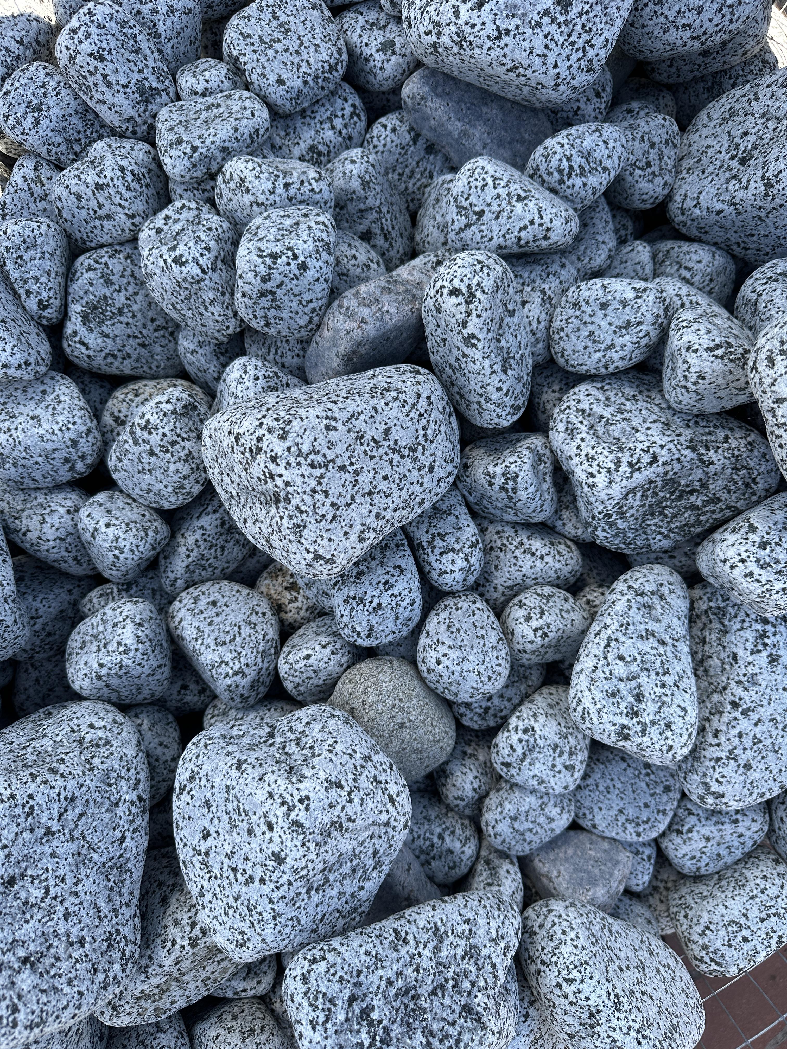 Галька покостовка