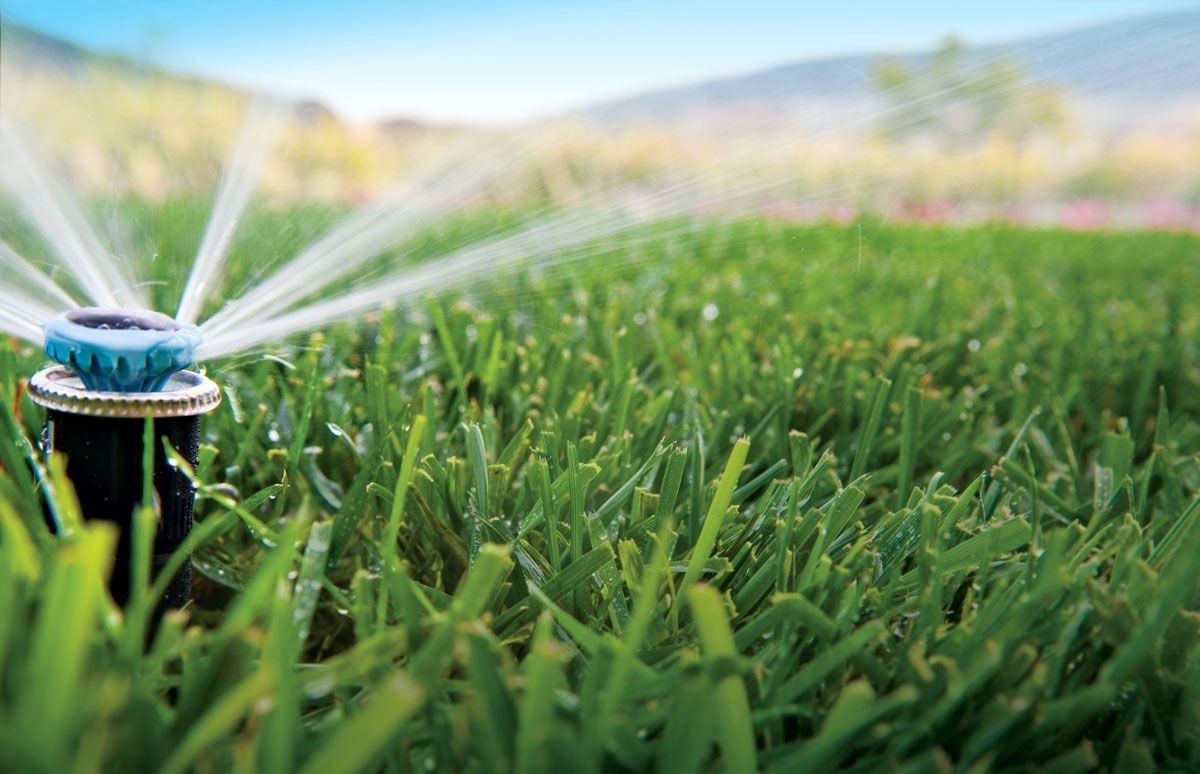 Системи автоматичного поливу замовити