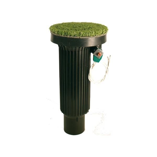 ARTGR EAGLE RAIN BIRD