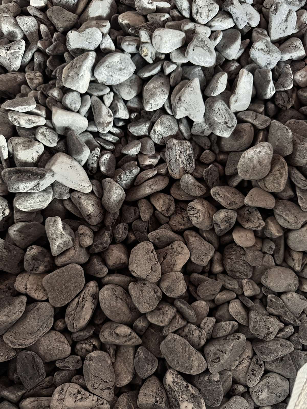 Галька Сільвер 