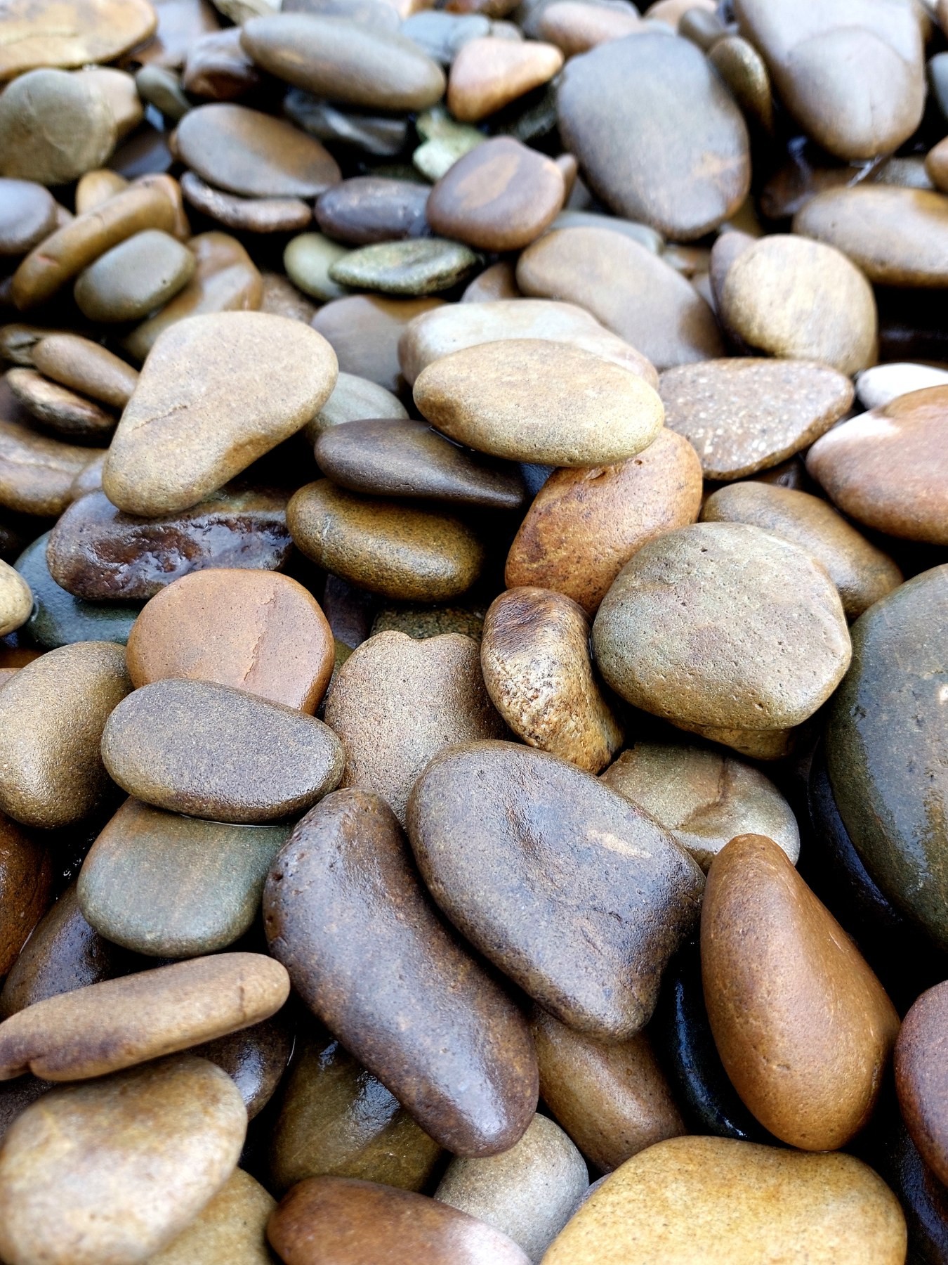 Галька Долонька