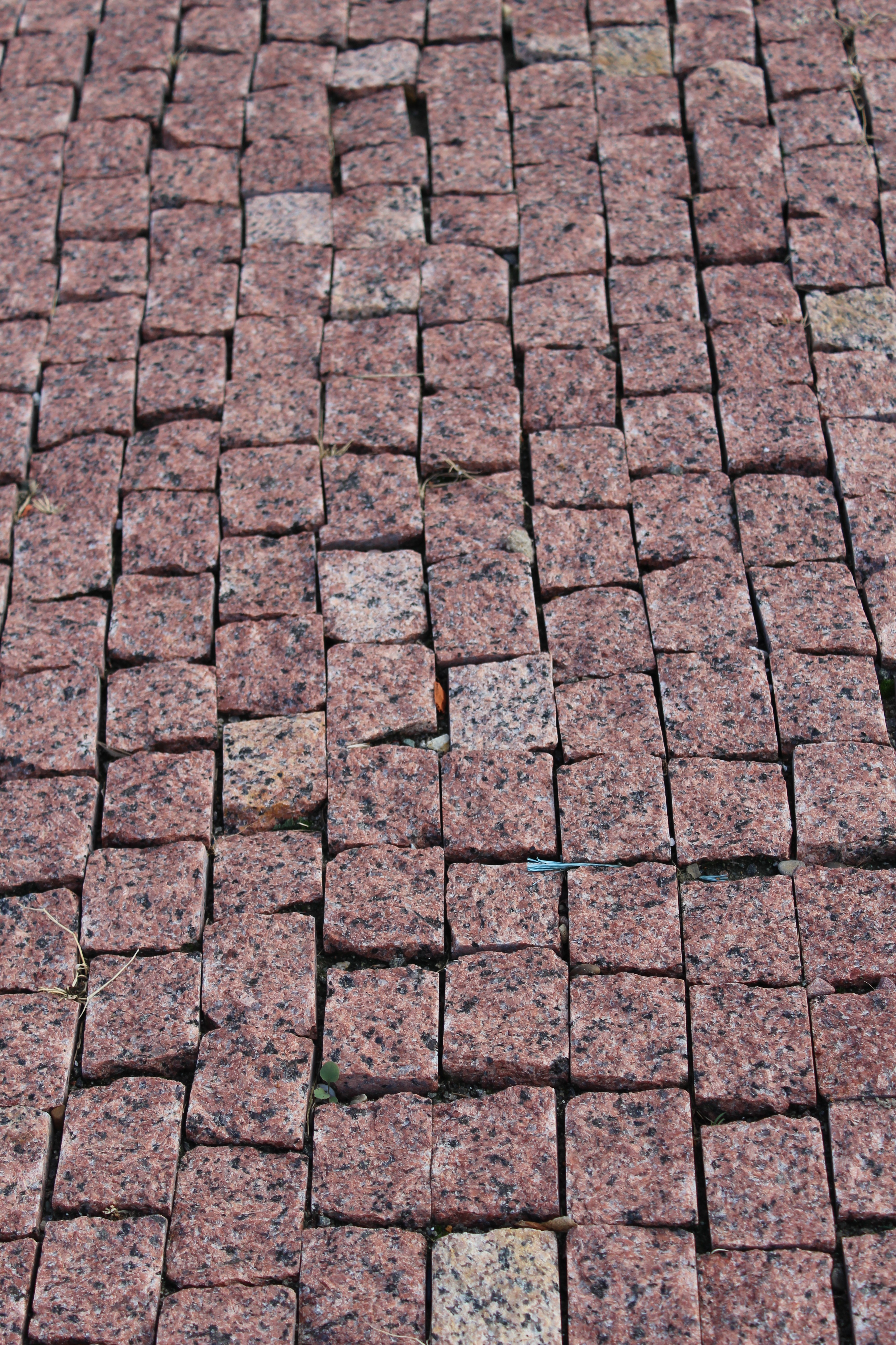 Бруківка колота Лезники