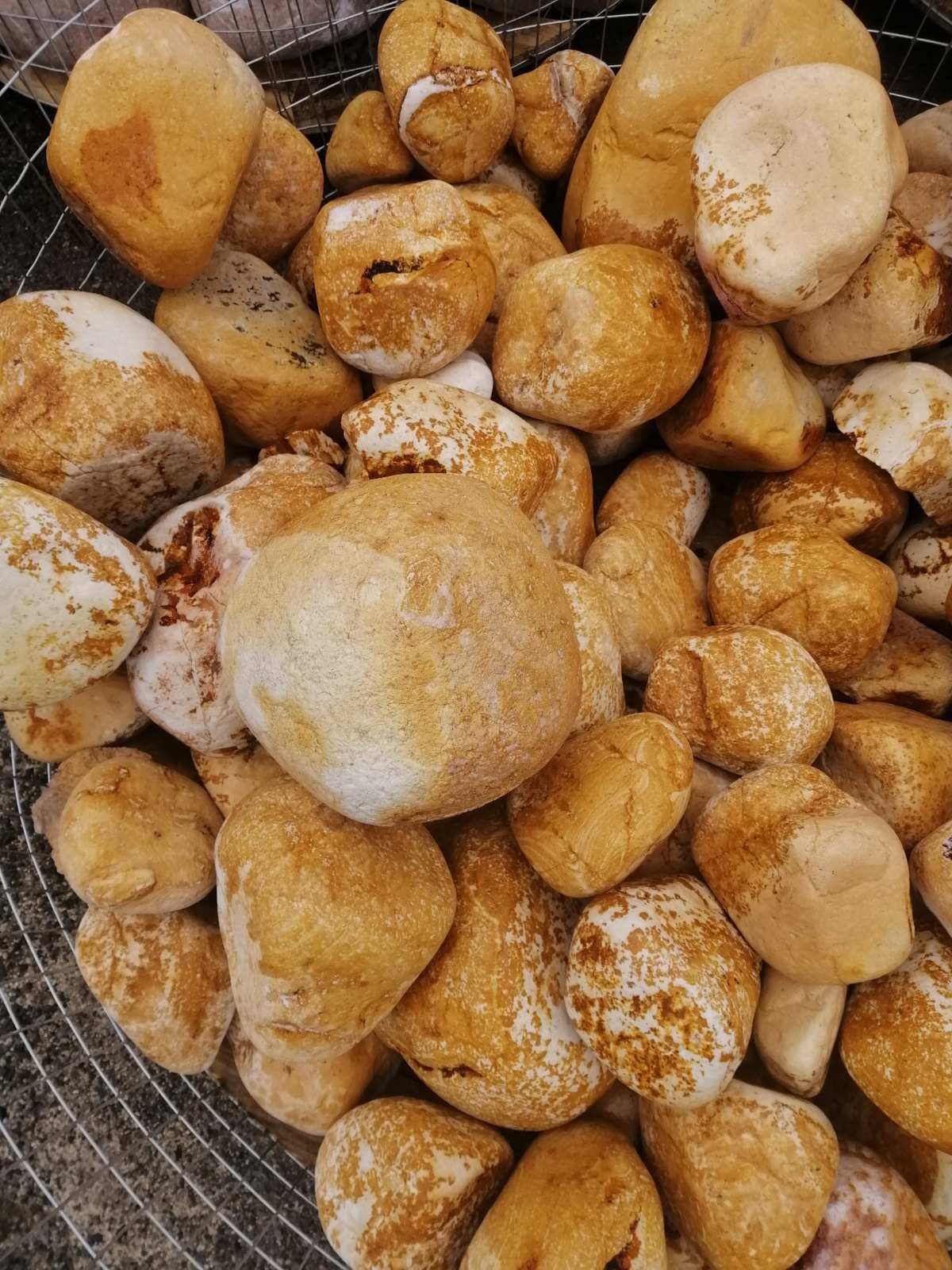 Валун жовтий