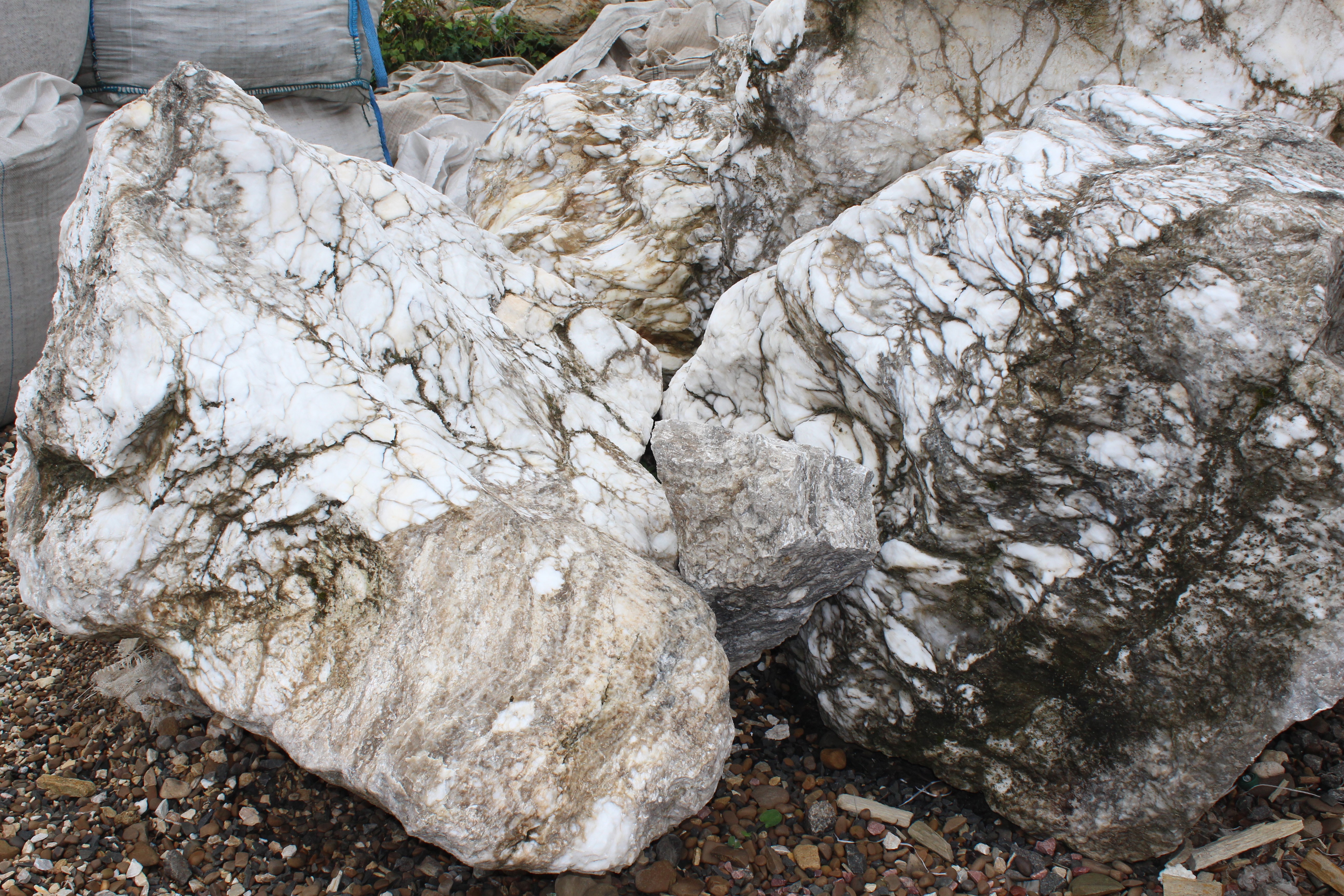 Мармур молодий