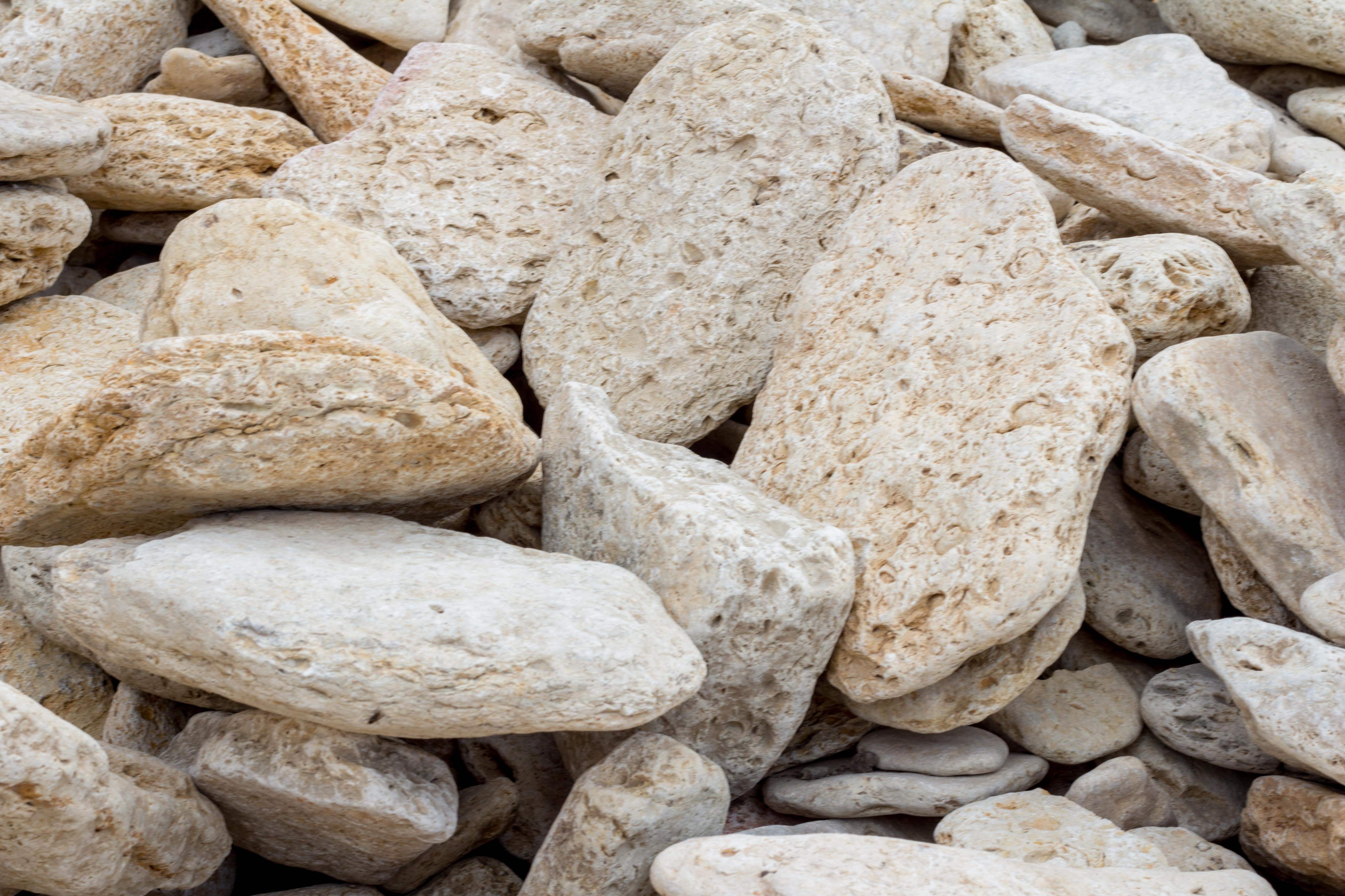 Галька ракушняк