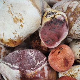 Валун кольоровий