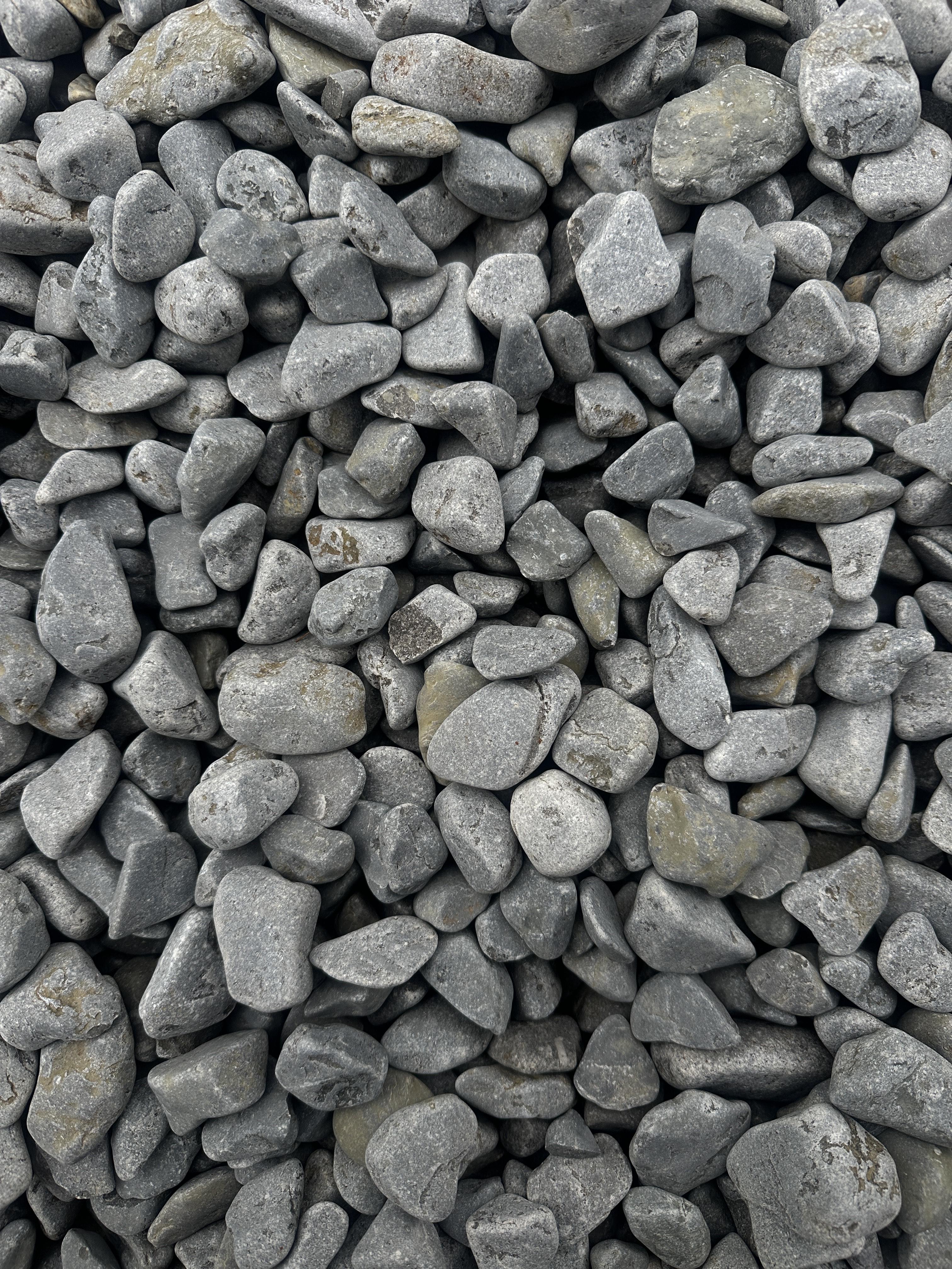 Галька Зубрівка 1